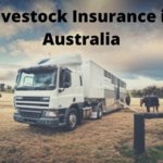 livestock Insurance in Australia