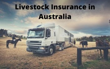 livestock Insurance in Australia