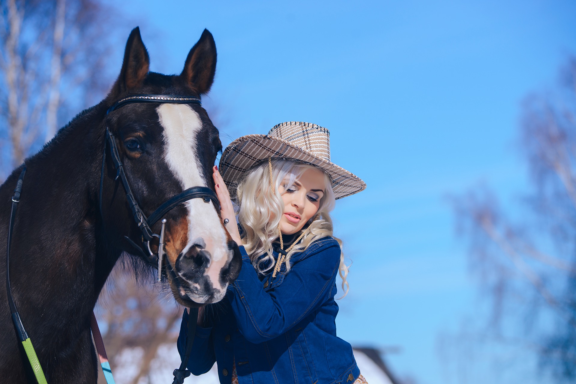 Девушка лошадь клип. Девушка с лошадью. Блондинка на лошади. Девочка на лошади. Фото с лошадьми девушки.