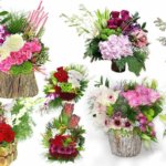 Top 10 Best Flower Arrangements