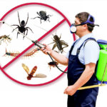 pest control london