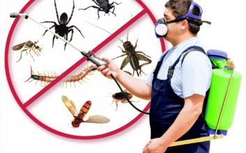 pest control london