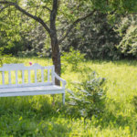 Creating a Beautiful Ambience to Your Garden With Wooden Garden Benches