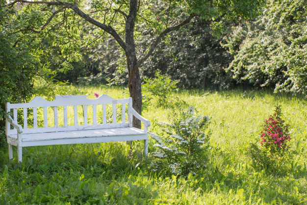 Creating a Beautiful Ambience to Your Garden With Wooden Garden Benches