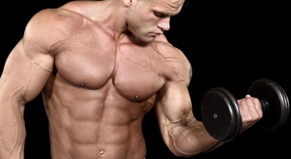 How To Build Muscular Arms Women How To Build Muscular Arms Women