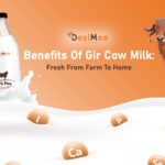 Benefits of Gir Cow Milk Fresh From Farm To Home