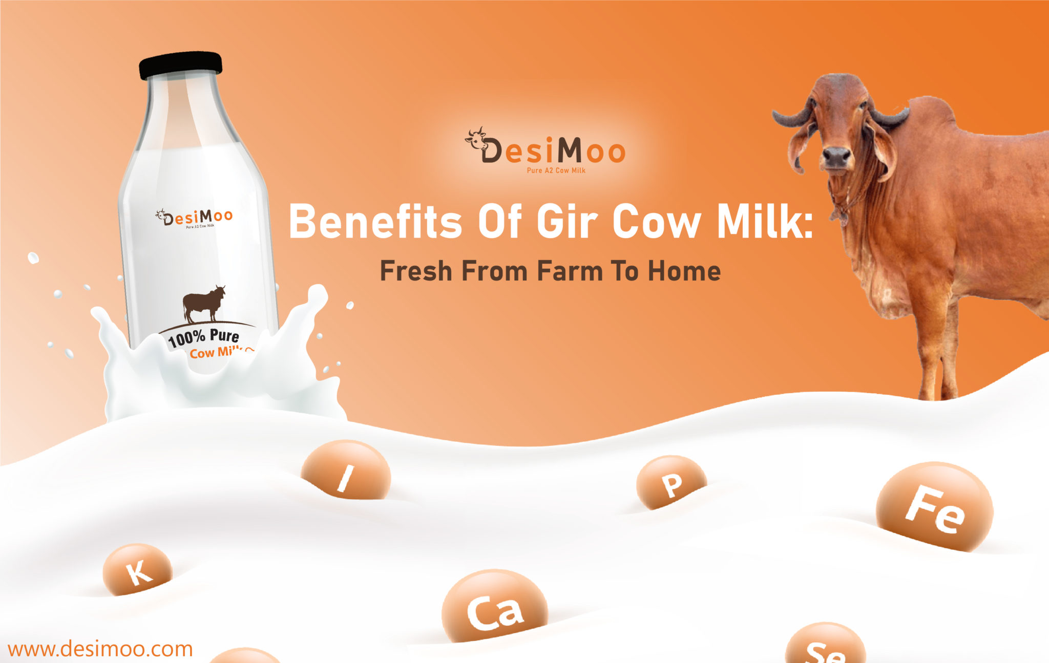 Benefits of Gir Cow Milk: Fresh From Farm To Home - Amazing Viral News