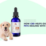 CBD pet product online