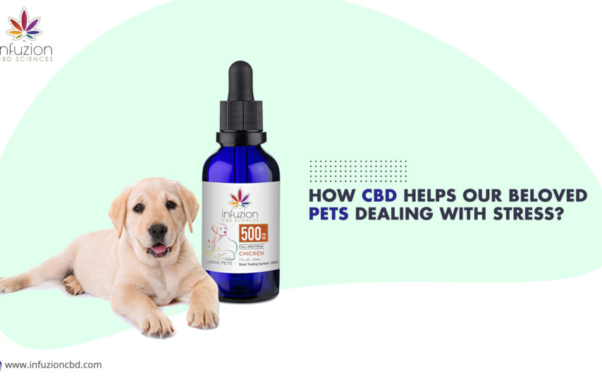 CBD pet product online