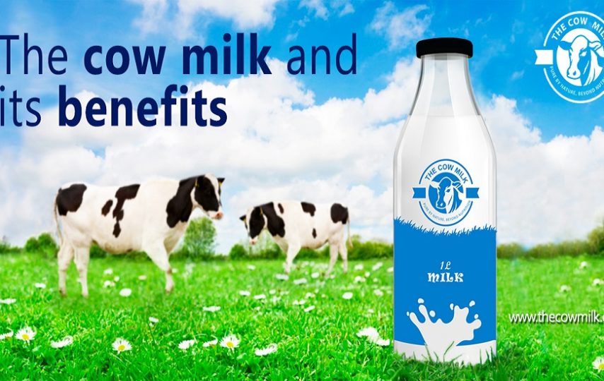 Benefits of Gir Cow Milk Fresh From Farm To Home Amazing Viral News