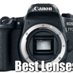 best walkaround lens for canon cameras