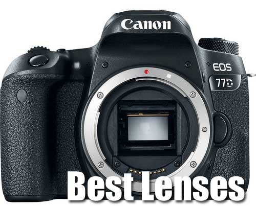 best walkaround lens for canon cameras