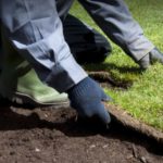 How to Care for New Sod