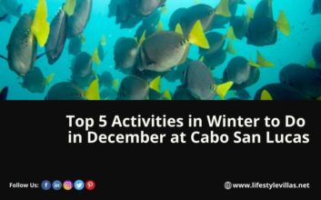 Cabos Excursions & Activities