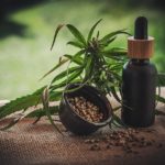 Unveiling the rich benefits of CBD for attaining healthy tresses