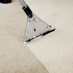 Whom To Consult In Confidence For Carpet Cleaning Perth And Maintenance Services?