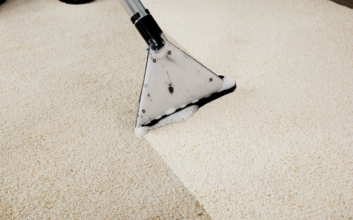 Whom To Consult In Confidence For Carpet Cleaning Perth And Maintenance Services?